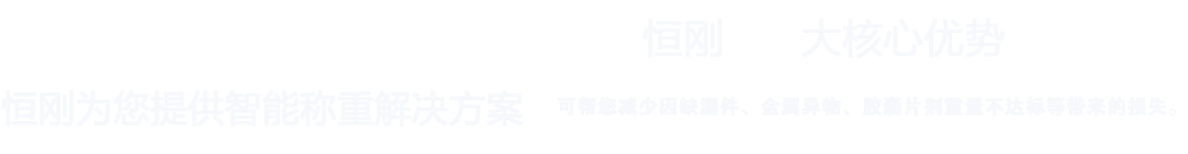 上海恒剛儀器儀表有限公司 上海恒剛儀器儀表有限公司